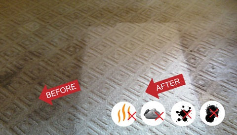 Truck-Mounted Carpet Cleaning for Deep, Thorough Results